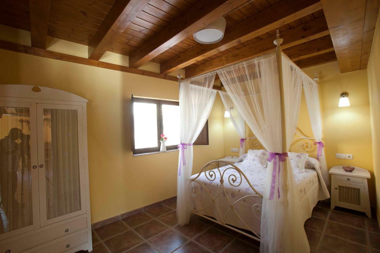 Alameda I Curiel De Duero Villa Ngoại thất bức ảnh